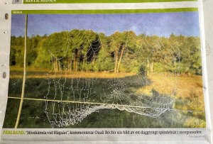 Höstkänsla vid Hågaån