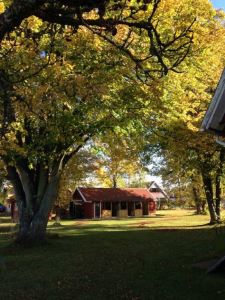 En fin höstbild från Edith och Julia