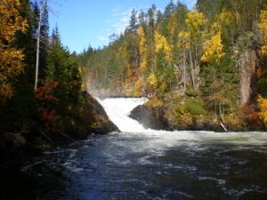 Fors i Ruka/Finland.